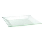 Plastic and Acrylic and Polypropylene Serving and Display Platters and Trays